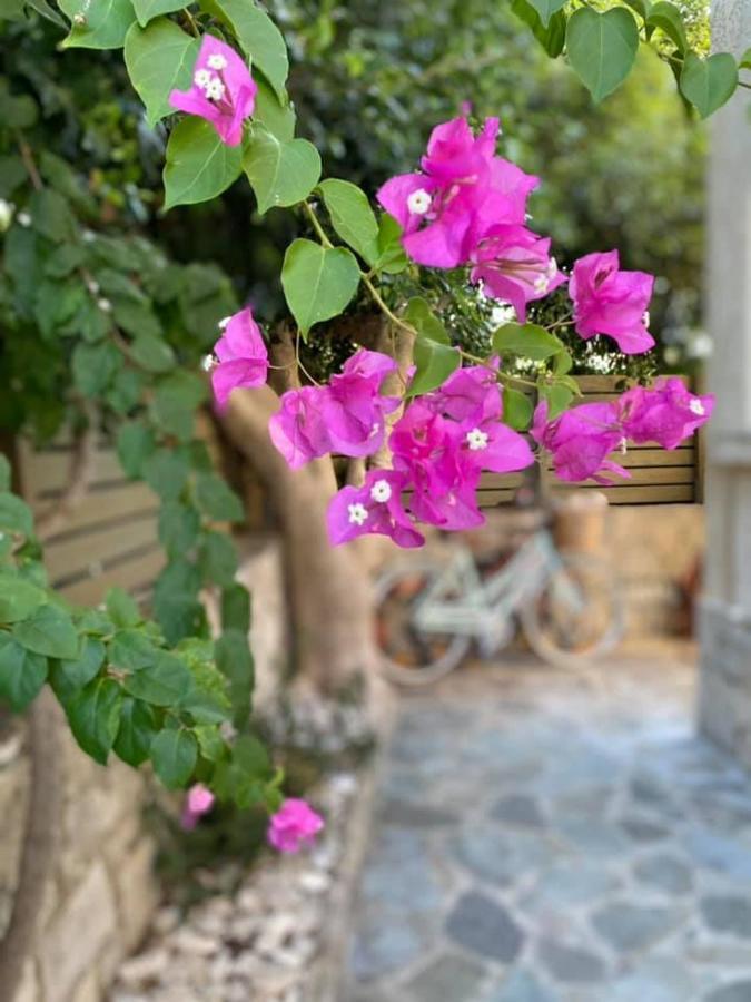 גאיוס Romanos Apartments מראה חיצוני תמונה