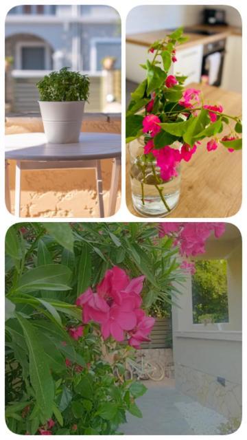 גאיוס Romanos Apartments מראה חיצוני תמונה